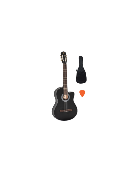 Valler VG 250 C BK Klasik Gitar
