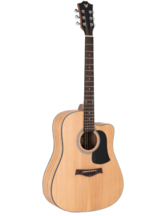 Valler AG 220 NA Akustik Gitar