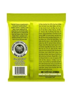 ERNIEBALL P02221 Elektro Gitar Teli 2