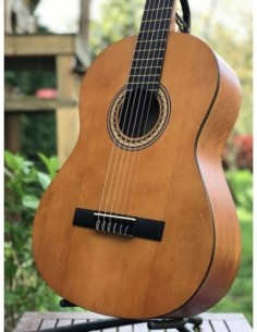 Valencia Vc 204 TWR Klasik Gitar