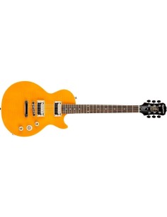 Epiphone Slash AFD LP Special-II Elektro Gitar