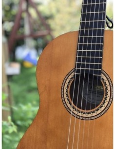 Valencia Vc 204 TWR Klasik Gitar 2