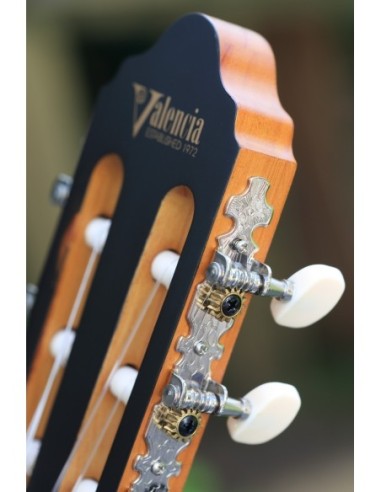 Valencia Vc 204 TWR Klasik Gitar