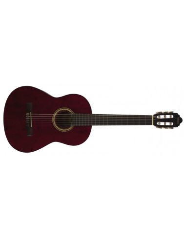 Valencia Vc 204 TWR Klasik Gitar