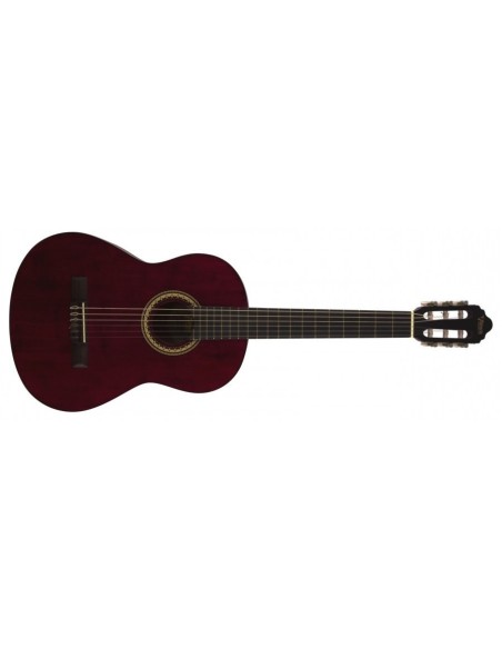 Valencia Vc 204 TWR Klasik Gitar