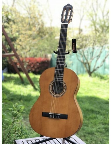 Valencia Vc 204 TWR Klasik Gitar