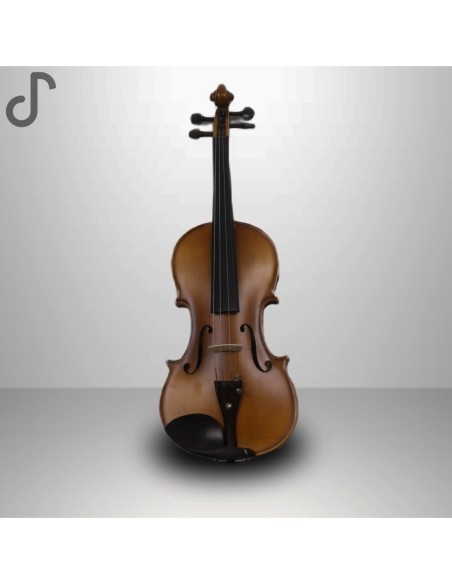 Auster GV103-R Tam Boy 4/4 Keman