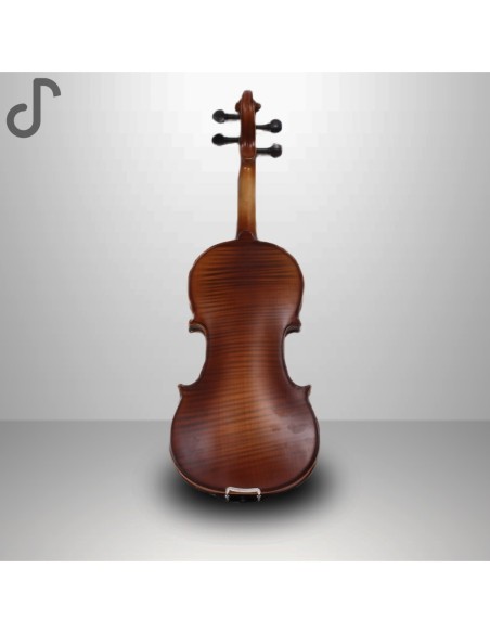 Auster GV103-R Tam Boy 4/4 Keman