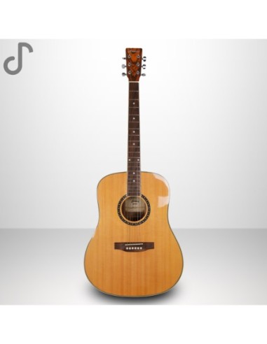 Ametist GW-23A Akustik Gitar