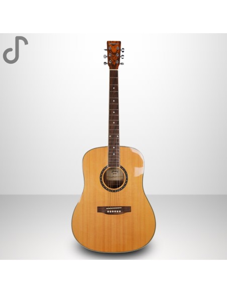 Ametist GW-23A Akustik Gitar