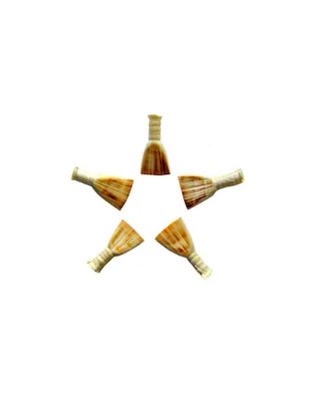 Adora Zurna Kamışı Set