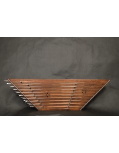 Santur İran Profesyonel 2