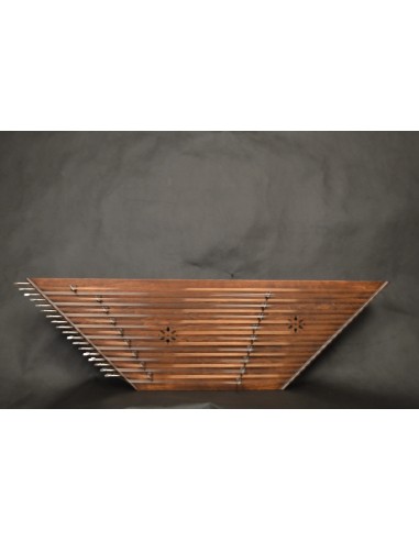 Santur İran Profesyonel