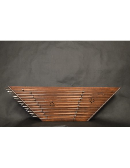 Santur İran Profesyonel