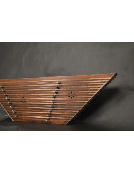 Santur İran Profesyonel