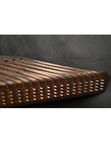 Santur İran Profesyonel