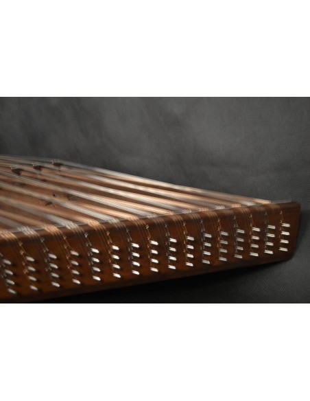 Santur İran Profesyonel