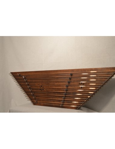 Santur İran Profesyonel