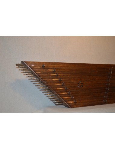 Santur İran Profesyonel