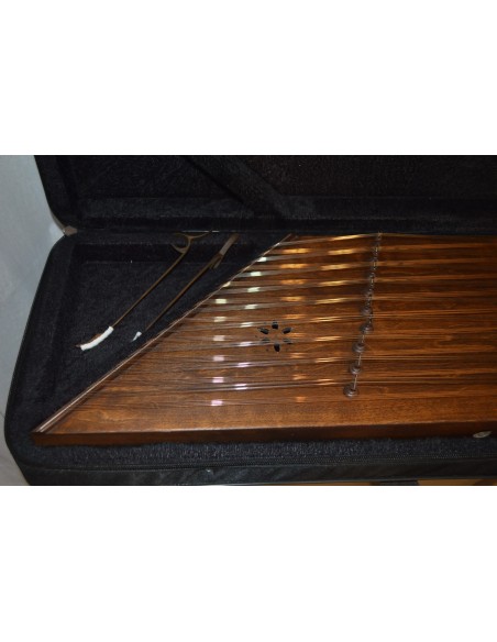 Santur İran Profesyonel