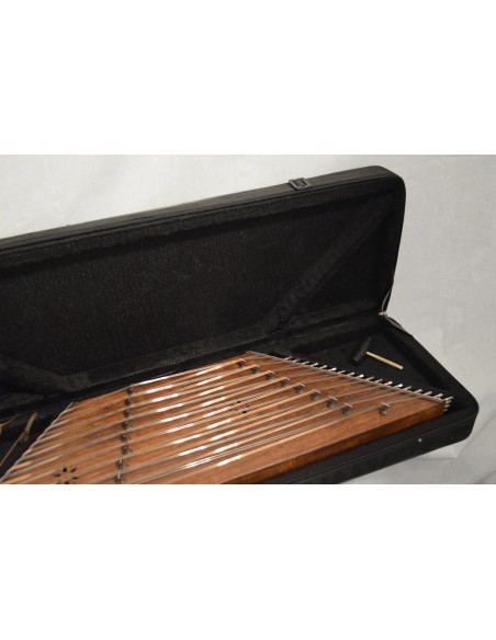 Santur İran Profesyonel