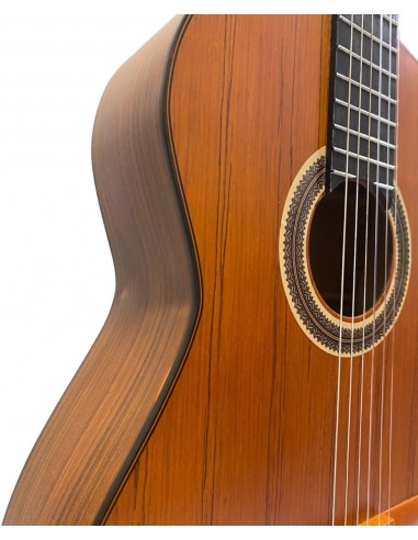 Klasik Gitar Matapoor 4/4