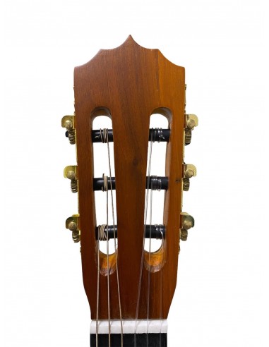 Klasik Gitar Matapoor 4/4