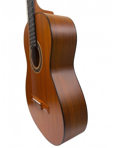 Klasik Gitar Matapoor 4/4