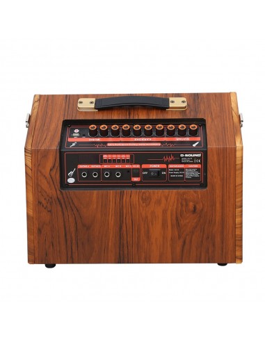 D-SOUND GA-20 Taşınabilir Şarjlı Hoparlör