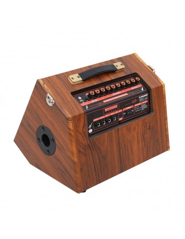 D-SOUND GA-20 Taşınabilir Şarjlı Hoparlör