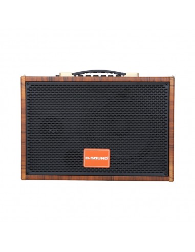 D-SOUND GA-20 Taşınabilir Şarjlı Hoparlör