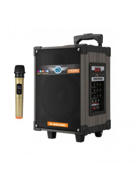 D-SOUND Ds-908 3 Kanal Taşınabilir Şarjlı Hoparlör