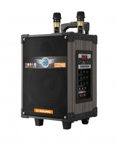 D-SOUND Ds-910 3 Kanal Taşınabilir Şarjlı Hoparlör