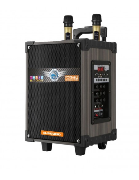 D-SOUND Ds-910 3 Kanal Taşınabilir Şarjlı Hoparlör