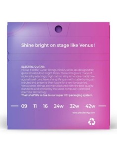 Pitbull VEG 09-42 SL Elektro Gitar Teli 2