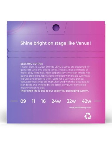 Pitbull VEG 09-42 SL Elektro Gitar Teli
