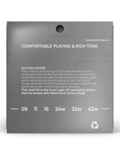 Pitbull SEG 09-42 SL Elektro Gitar Teli 2