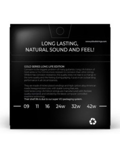 Pitbull LEG 09-42 SL Elektro Gitar Teli 2