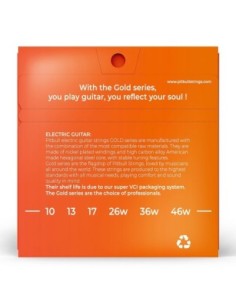 Pitbull GEG 10-46 L Elektro Gitar Teli 2