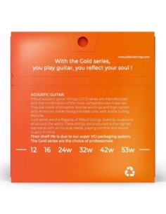 Pitbull GAG 12-53 L Akustik Gitar Teli 2