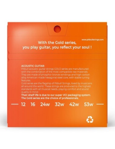 Pitbull GAG 12-53 L Akustik Gitar Teli