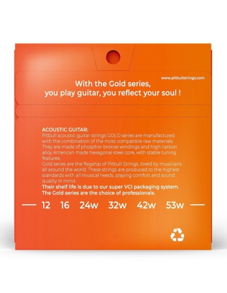 Pitbull GAG 12-53 L Akustik Gitar Teli
