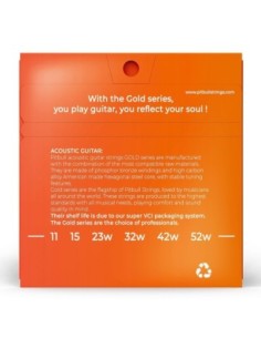 Pitbull GAG 11:52 EL Akustik Gitar Teli 2