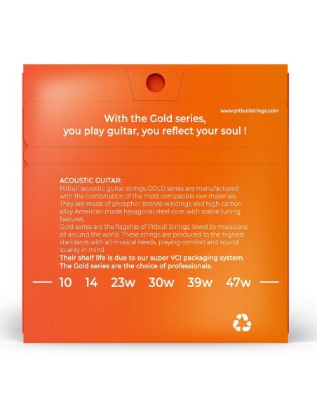 Pitbull GAG 10-47 SL Akustik Gitar Teli