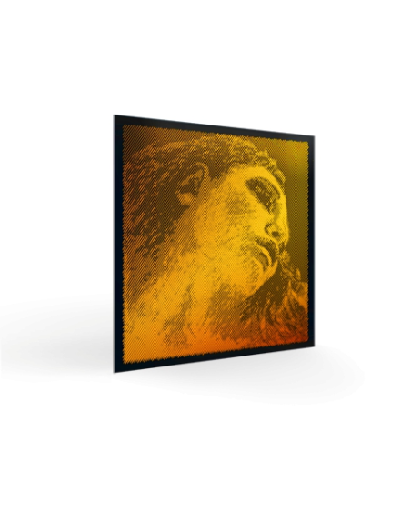 Pirastro Evah Pirazzi Gold Keman Teli