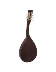 Zeynel Abidin Mandolin 2