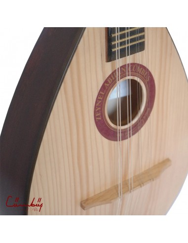 Zeynel Abidin Mandolin