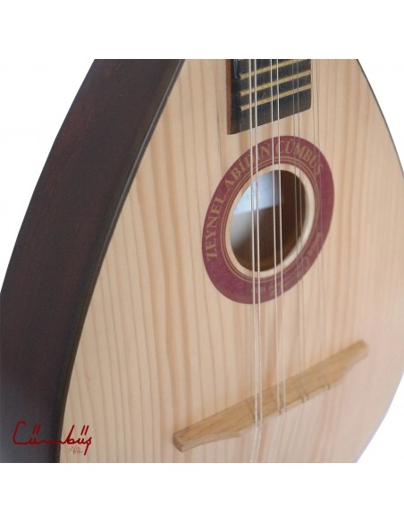 Zeynel Abidin Mandolin