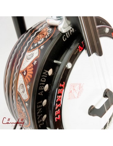 Zeynel Abidin Anadolu Gövde Kısa Sap Cümbüş Saz...