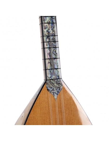 Kuşgözü Akçaağaç Uzun Sap Bağlama